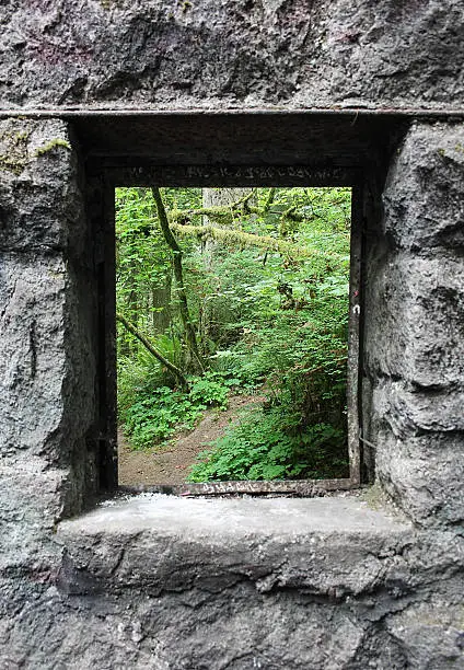A window in a castle, looking out into the forest.