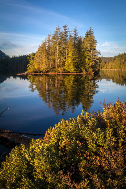 istock Beautiful British Columbia Lakeview 1766140646