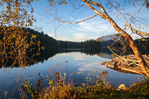 Morning reflections at Garden Bay Lake, located along the Sunshine Coast of British Columbia.