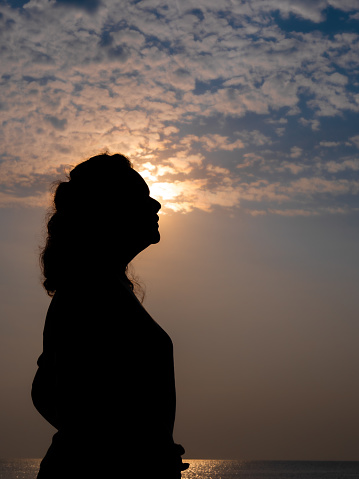 The Silhouette Woman Standing and Facing Right behind The Sun , Sky , Birds and Sea