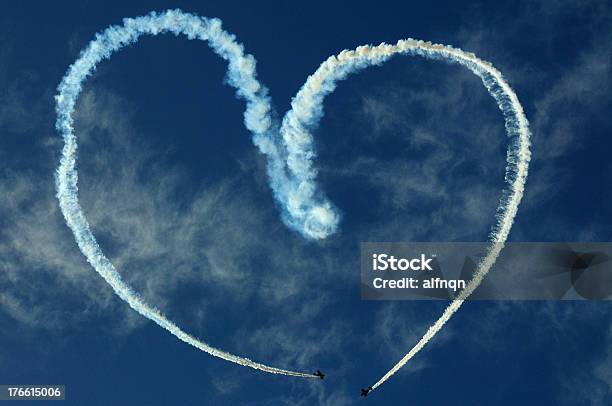 Heart In The Sky 동물 내부기관에 대한 스톡 사진 및 기타 이미지 - 동물 내부기관, 동물의 심장, 비행기