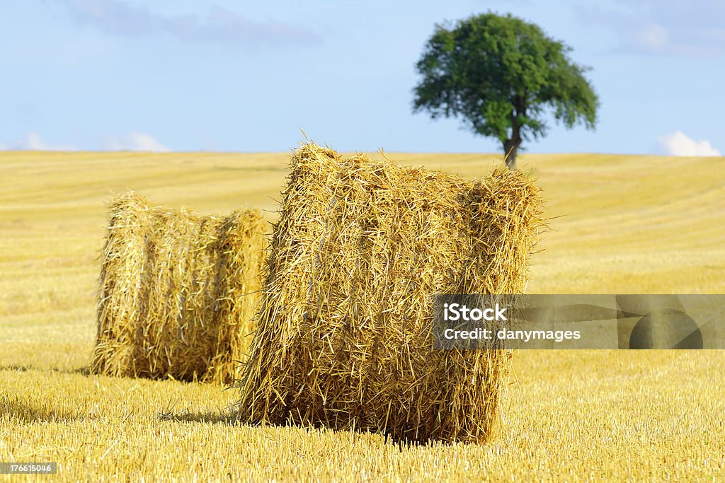 Stroh - Lizenzfrei Agrarbetrieb Stock-Foto