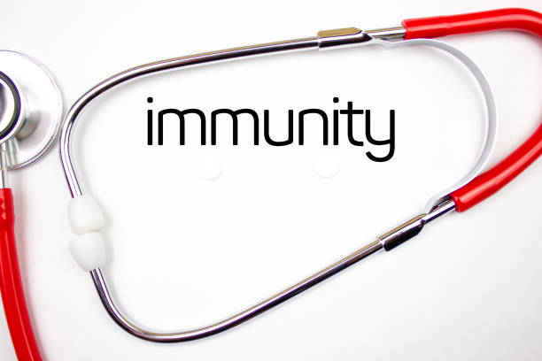immunity word,text on a white background with a stethoscope. immunity, medical concept. - immune defence fotos imagens e fotografias de stock