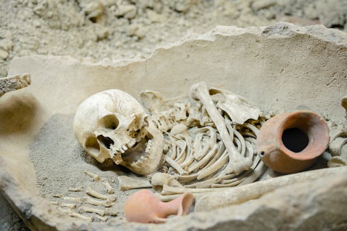 Mesolithic period neanderthal human skeleton archaeological museum in Antalya, Turkey.