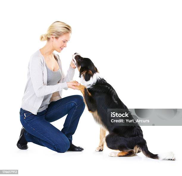 Thats A Good Boy Stock Photo - Download Image Now - Dog, White Background, People