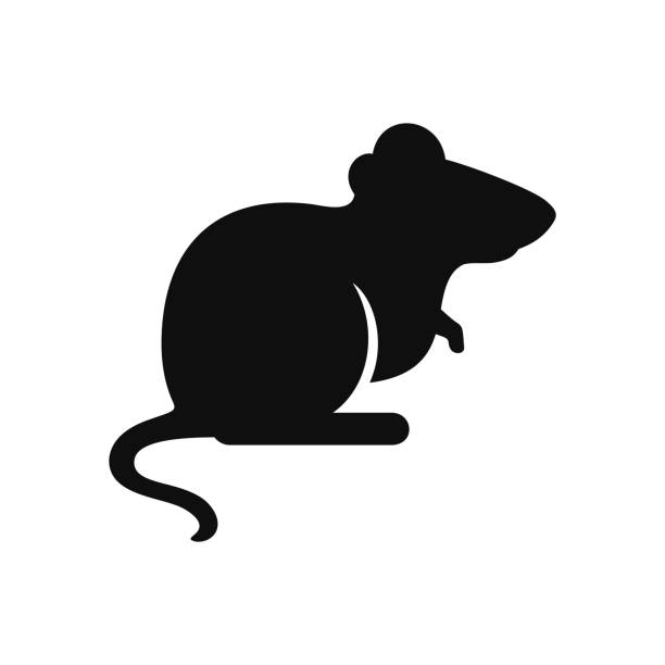 ilustraciones, imágenes clip art, dibujos animados e iconos de stock de icono de rata de ratón aislado sobre fondo blanco - ratón animal
