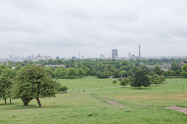 istock Primrose Hill in London 176622635