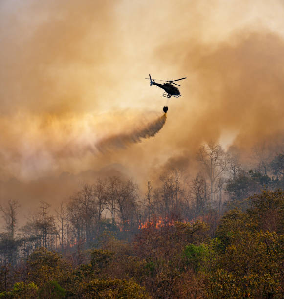 istock Fire fighting helicopter dropping water onto wildfire because climate change and global warming is a driver of global wildfire trends. 1766240675