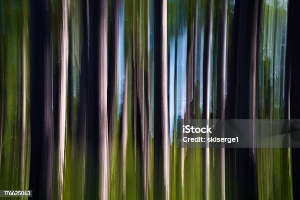 Astratto Pines - Fotografie stock e altre immagini di Albero - Albero, Ambientazione esterna, Astratto