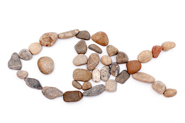 The composition of stone fish, I hope everyone likes