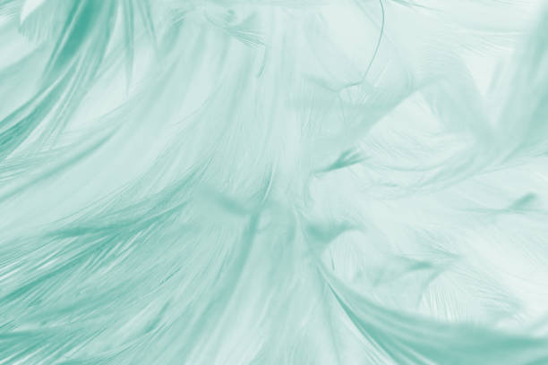パステル背景に美しい薄緑色のトレンドフェザーテクスチャパターン