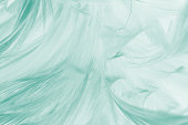 Beautiful light green color trends feather texture pattern pastel background