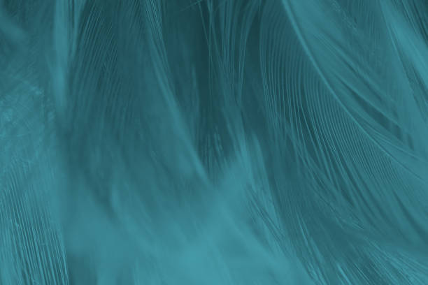 istock Beautiful close up dark black,blue azure feather pattern texture background 1766269106