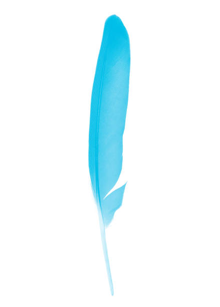 istock Beautiful blue feather isolated on white background 1766269445