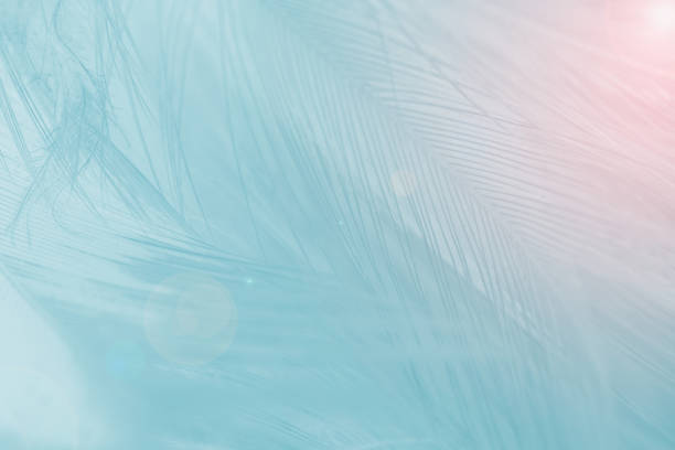 istock Beautiful green turquoise color trends feather texture background with orange light 1766269485