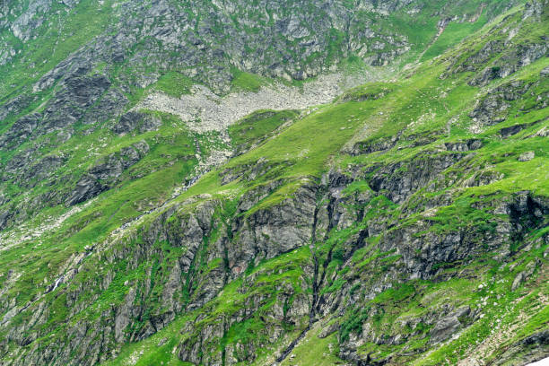 Mountain nature scenary in Romania