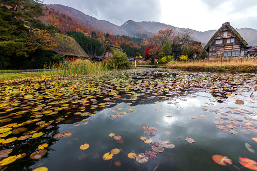 Gifu, Japan- November, 2019: Shirakawa-go (ogimachi village) an autumn rains in Gifu Prefecture is known as a village of Gassho style house. Throughout November, begin to colors of autumn, Japan.