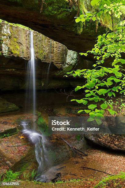 Rockbrücke In Ohios Hocking Hills Stockfoto und mehr Bilder von Bach - Bach, Baum, Blatt - Pflanzenbestandteile