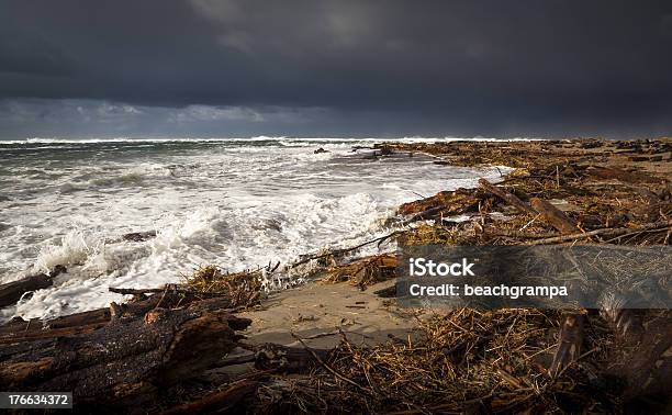 Driftwood Después De La Tormenta Foto de stock y más banco de imágenes de Aire libre - Aire libre, Arena, Costa de Oregón