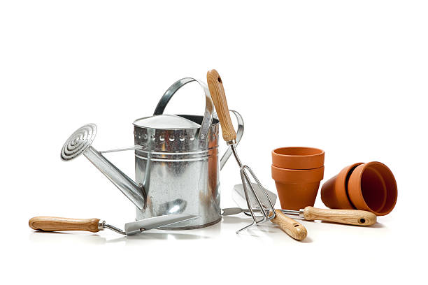 istock Assorted gardening supplies on a white background 176635452
