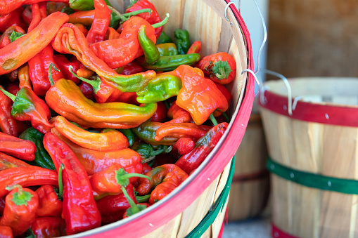 Freshly picked Red Chili Peppers in basket in southwest farmers market in United States
