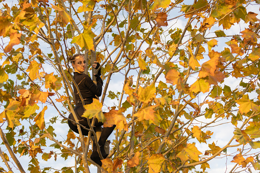 Pretty young lady in Halloween costume is standing on tree.