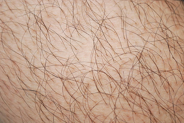 istock Skin and hairs 176640354