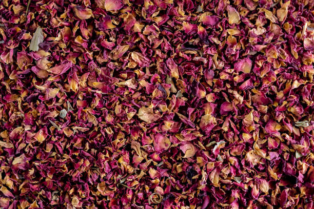tea from rose petals on a white background, tea leaves, dried rose petals, drinking herbal tea