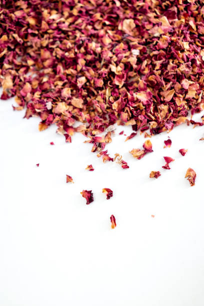 istock tea from rose petals on a white background, tea leaves, dried rose petals, drinking herbal tea 1766408311