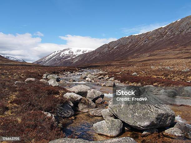 Photo libre de droit de Lairig Ghru Vu Depuis La Rivière Dee Écosse Au Printemps banque d'images et plus d'images libres de droit de Beauté