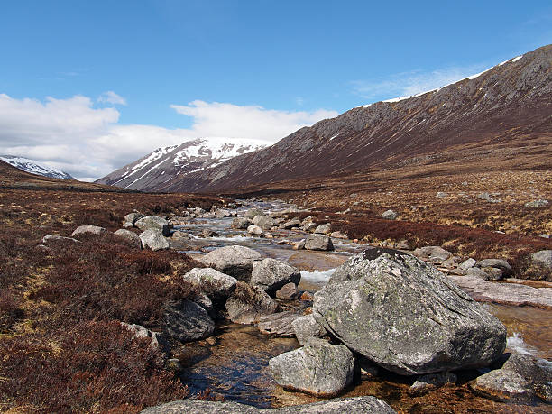 lairig ghru visto dal fiume dee, scozia in primavera - munros foto e immagini stock