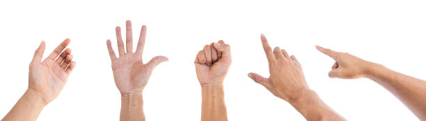 istock Set of man hands isolated on white background with clipping path 1766446208