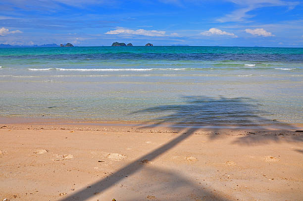 Shadow of coconut tree on Taling-Ngam Beach, Samui Island