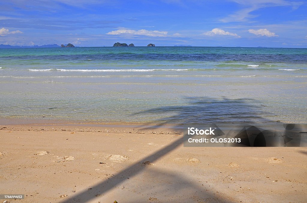 Shadow of coconut tree on Taling-Ngam Beach, Samui Island Shadow of coconut tree on Taling-Ngam Beach; Samui Island; Thailand Backgrounds Stock Photo