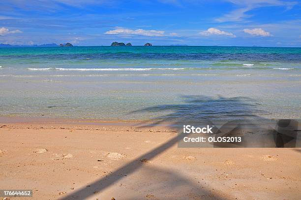 Shadow Of Coconut Tree On Talingngam Beach Samui Island Stock Photo - Download Image Now