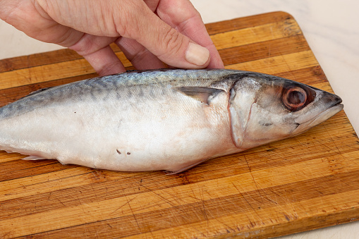 Woman hand holding whole raw mackerel fish on cutting board