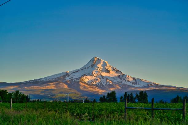 Mt. Hood in Afternoon