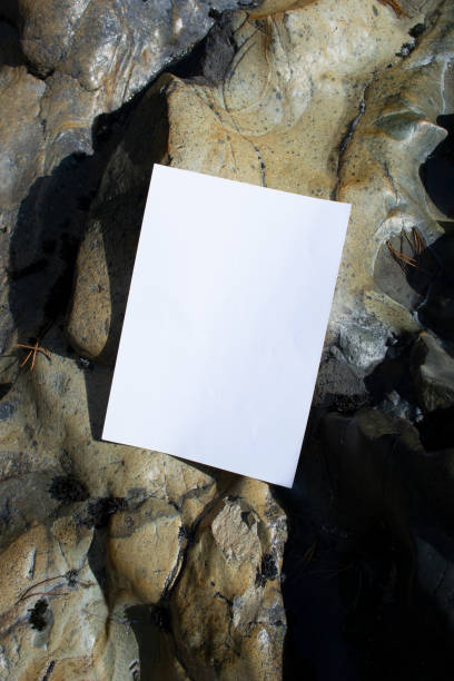 istock Mockup sheet on large mountain stones in diffused sunlight. Layout of poster on stone 1766457402