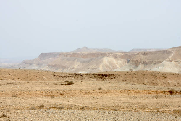 istock Sand dunes with dry air on a summer day. 1766460219