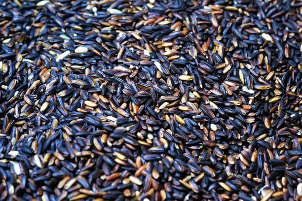 istock Brown rice, uncooked black glutinous rice 1766461296