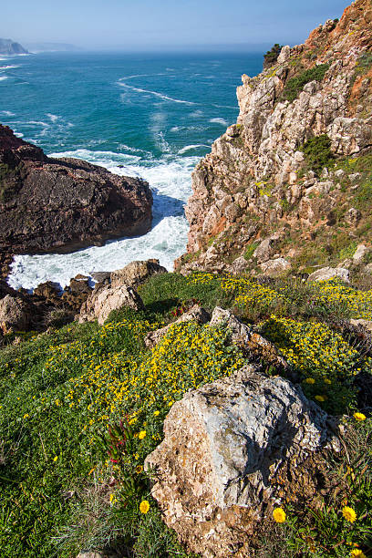 istock Beautiful coastal Algarve 176646624