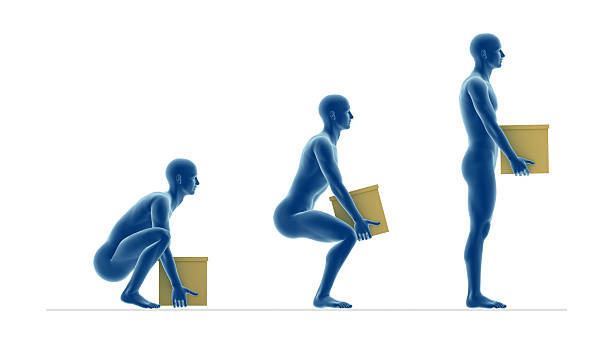 Posture Load 1,300+ Good Posture Lifting Stock Photos, Pictures & Royalty-Free ...