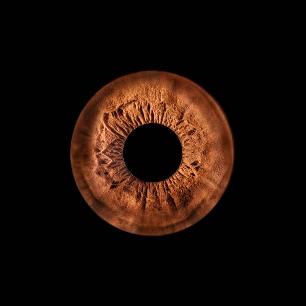 istock Abstract closeup shot of an iris, with a black background and illuminated by a soft light. 1766470493