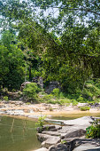 fluss-im-dschungel.jpg?b=1&s=170x170&k=20&c=ceh5VktNXp-JTQMDXOrX2nehB3YPAaHbs30ZmqxPSiU=