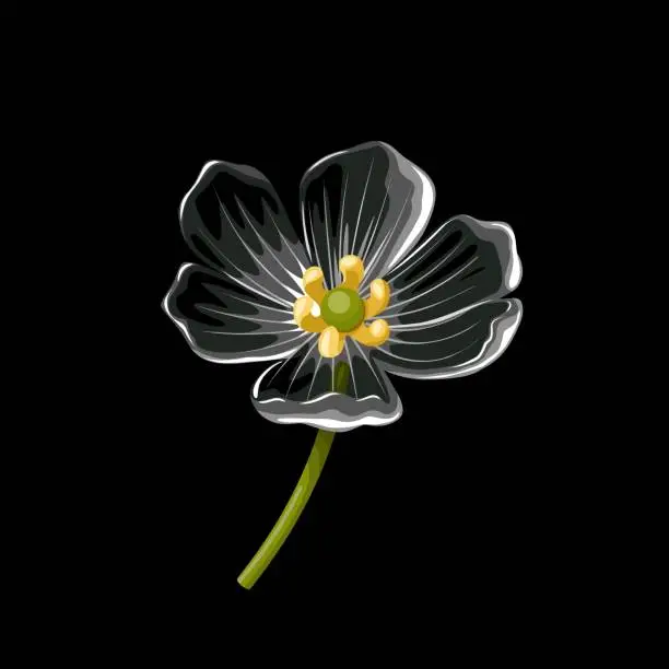 Vector illustration of Skeleton flower