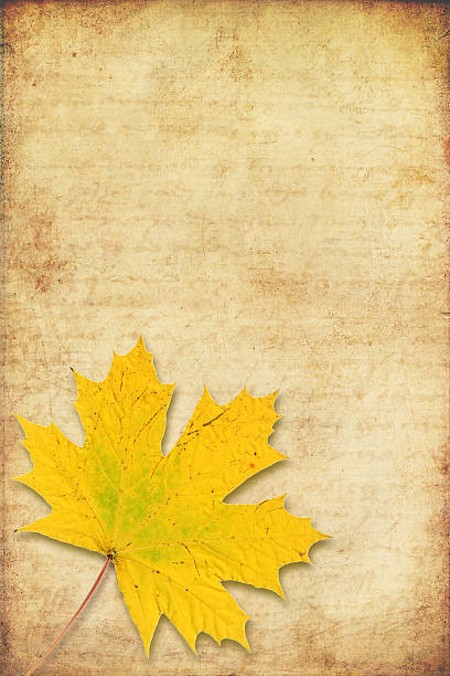 istock grunge background with maple autumn leave 176650182