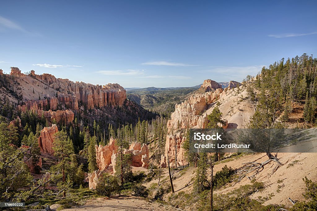 Pantano Canyon - Foto de stock de Aire libre libre de derechos