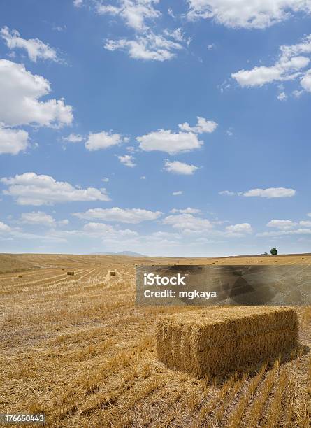 Square Hay Bales Stock Photo - Download Image Now - Agricultural Field, Agriculture, Bale