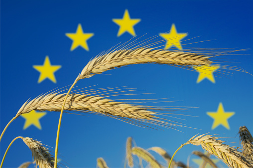 Symbolic picture: The EU and agriculture