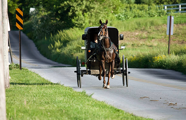 istock Horse with the carrige 176650579